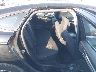 3FA6P0H70HR****** Wrecked 2017 Ford Fusion in Oklahoma City