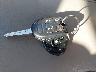 2FMDK4JC9CB****** Salvamento 2012 Ford Edge en Estado de Oklahoma