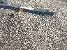 7J511JJ12MB****** Salvage 2021 White River Marine Group White River Marine Group in Texas State
