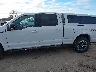 1FTFW1E41KF****** Salvage 2019 Ford F-150