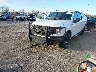 1FTFW1E41KF****** Used and Repairable 2019 Ford F-150 in Davenport