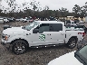 1FTEW1E43LF****** Repairable 2020 Ford F-150 in Georgia State