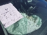 KMHC75LCXHU****** Salvage and Wrecked 2017 Hyundai Ioniq in California State