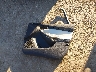 1FAHP3N2XCL****** Wrecked 2012 Ford Focus in Oklahoma State