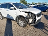 5XYPG4A31GG****** Salvage and Repairable 2016 Kia Sorento in Florida State