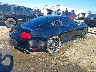 1FA6P8CF2H5****** Salvamento y Destrozados 2017 Ford Mustang en Estado de Georgia