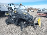 JKGRF0N18DB****** Salvage and Wrecked 2006 Yamaha Rhino in Casper