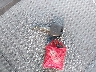 JTEBU14R28K****** Salvamento 2008 Toyota 4Runner en Estado de Virginia