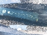2G1WC5E37D1****** Wrecked 2013 Chevrolet Impala in New York State
