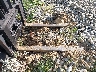 A11346Y***** Wrecked 2021 Linde E20s in California State