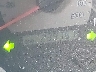 5TEUU42N97Z****** Repairable 2007 Toyota Tacoma in California State