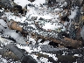 1HGCV1F65JA****** Used 2018 Honda Accord in Chicago South