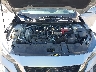3N1AB8CV2LY****** Repairable 2020 Nissan Sentra in West Palm Beach