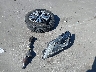 5N1DR2MM3KC****** Destrozados 2019 Nissan Pathfinder en Estado de Florida