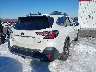 4S4BTAPC4L3****** Salvamento y Destrozados 2020 Subaru Outback en Estado de Oklahoma