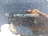 WVWDR71K47W****** Salvage 2007 Volkswagen Rabbit in New York State