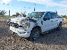1FTFW1E53MF****** Used and Repairable 2021 Ford F-150 in McAllen