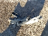 19UUA76578A****** Wrecked 2008 Acura TL in Arizona State