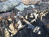 1N6AA1E59HN****** Salvage 2017 Nissan Titan in Dallas