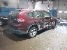 5J6RM4H31DL****** Salvage and Wrecked 2013 Honda CR-V in New Jersey State