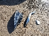 5N1AZ2DS2NC****** Wrecked 2022 Nissan Murano in Montana State