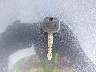 5YFBURHE7HP****** Salvage 2017 Toyota Corolla in Washington State