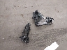 KM8R44HEXMU****** Wrecked 2021 Hyundai Palisade in Arizona State
