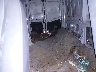 1FTBW2CM1KK****** Wrecked 2019 Ford Transit-350 in Burlington