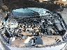 SHHFK7H38KU****** Repairable 2019 Honda Civic in Indianapolis
