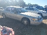 2FABP7BV1BX****** Salvamento y Destrozados 2011 Ford Crown Victoria en Jackson