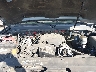 1GNFC13C78J****** Reparables 2008 Chevrolet Tahoe en North Hollywood