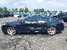 19UUA86289A****** Salvamento 2009 Acura TL