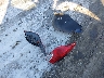 KMHDH4AE4DU****** Wrecked 2013 Hyundai Elantra in Wisconsin State