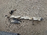 1GCRKSE35BZ****** Wrecked 2011 Chevrolet Silverado 1500 in Arkansas State