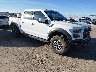 1FTFW1RG3HF****** Salvage and Wrecked 2017 Ford F-150 in El Paso