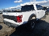 1FTFW1RG3HF****** Salvage and Wrecked 2017 Ford F-150 in Texas State