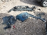 3CZRZ1H5XTM****** Salvamento 2026 Honda HR-V en Estado de Arizona