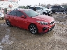 3KPF24AD5LE****** Salvage and Wrecked 2020 Kia Forte in Wichita