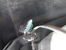 3GYFNDEY6BS****** Salvage 2011 Cadillac SRX in Ohio State
