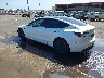 5YJ3E1EA0SF****** Salvamento y Reparables 2025 Tesla Model 3 en Honolulu