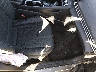 KMHLP4AGXMU****** Used and Repairable 2021 Hyundai Elantra in Oklahoma State