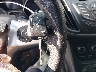 1FMCU9GX5EU****** Salvamento 2014 Ford Escape en Estado de Maryland