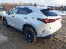 2T2GGCEZ7SC****** Salvage and Repairable 2025 Lexus NX 350 in Taunton