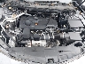 19UUB6F50PA****** Reparables 2023 Acura TLX en Long Island