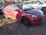 5NPDH4AE8GH****** Salvamento y Destrozados 2016 Hyundai Elantra en Long Island