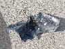 5YJ3E1EB5TF****** Wrecked 2026 Tesla Model 3 in Colorado State