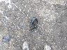 WP1AA2A59ML****** Destrozados 2021 Porsche Macan en Estado de Massachusetts