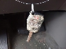 5FNRL5H96CB****** Salvamento 2012 Honda Odyssey en Estado de Maryland