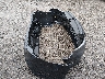 3KPF24AD2PE****** Wrecked 2023 Kia Forte in California State