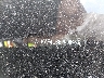 W1KAF4GB8PR****** Used 2023 Mercedes-Benz C-Class in North Hollywood